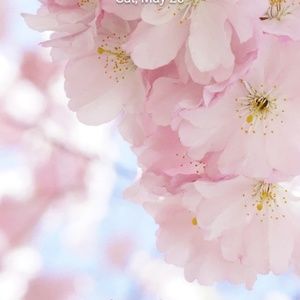 Meet your Posher, Ania